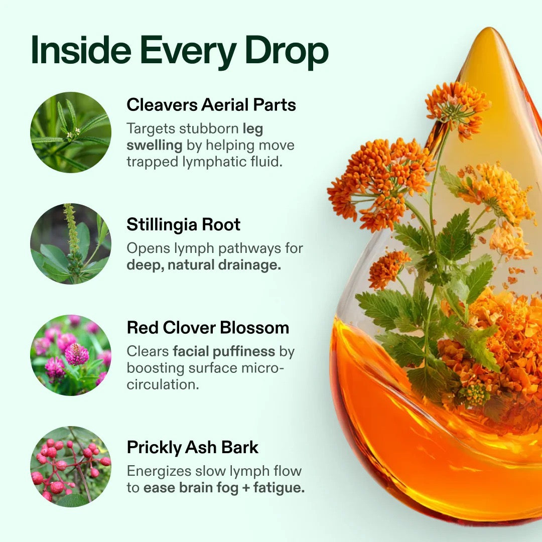 💚 𝗧𝗥𝗨𝗘 𝗡𝗨𝗧𝗥𝗔 𝗟𝗬𝗠𝗣𝗛𝗢𝗥𝗜𝗔 ® 🌿