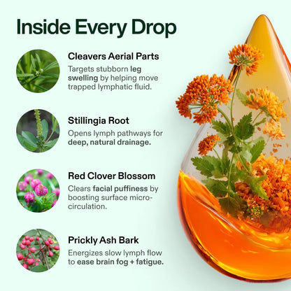 💚 𝗧𝗥𝗨𝗘 𝗡𝗨𝗧𝗥𝗔 𝗟𝗬𝗠𝗣𝗛𝗢𝗥𝗜𝗔 ® 🌿