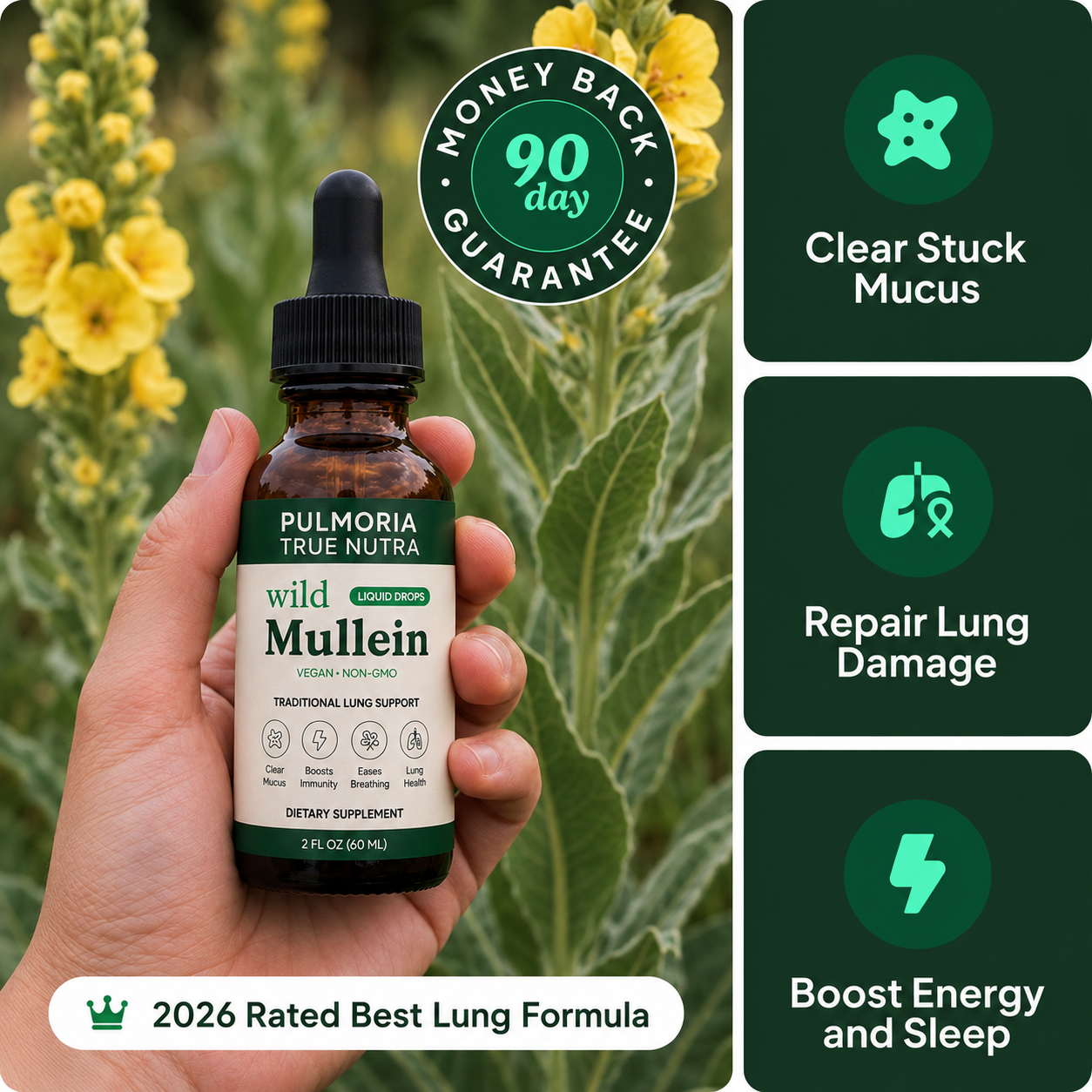 🫁 𝗧𝗥𝗨𝗘 𝗡𝗨𝗧𝗥𝗔 pulmoria  ® 💚